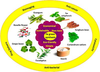 Utility of Biogenic Iron and Its Bimetallic Nanocomposites for Biomedical Applications: A Review